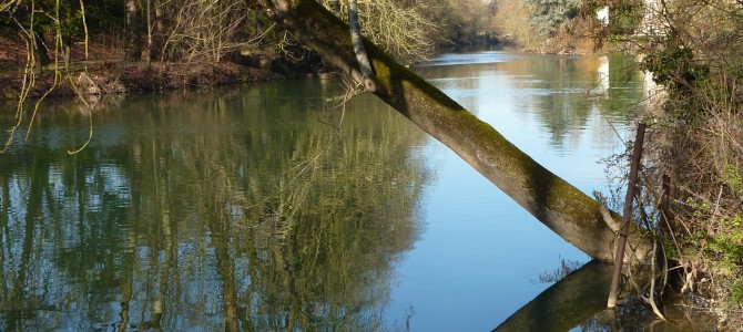 Reflejos del Clain – reflets du Clain