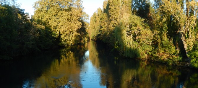 Merci el río – la rivière