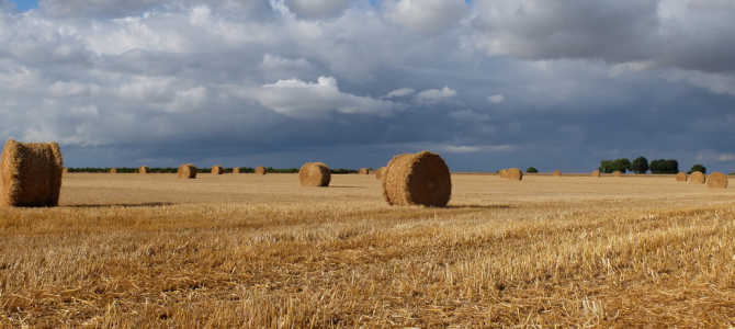 Entre Coulombiers et Exoudun