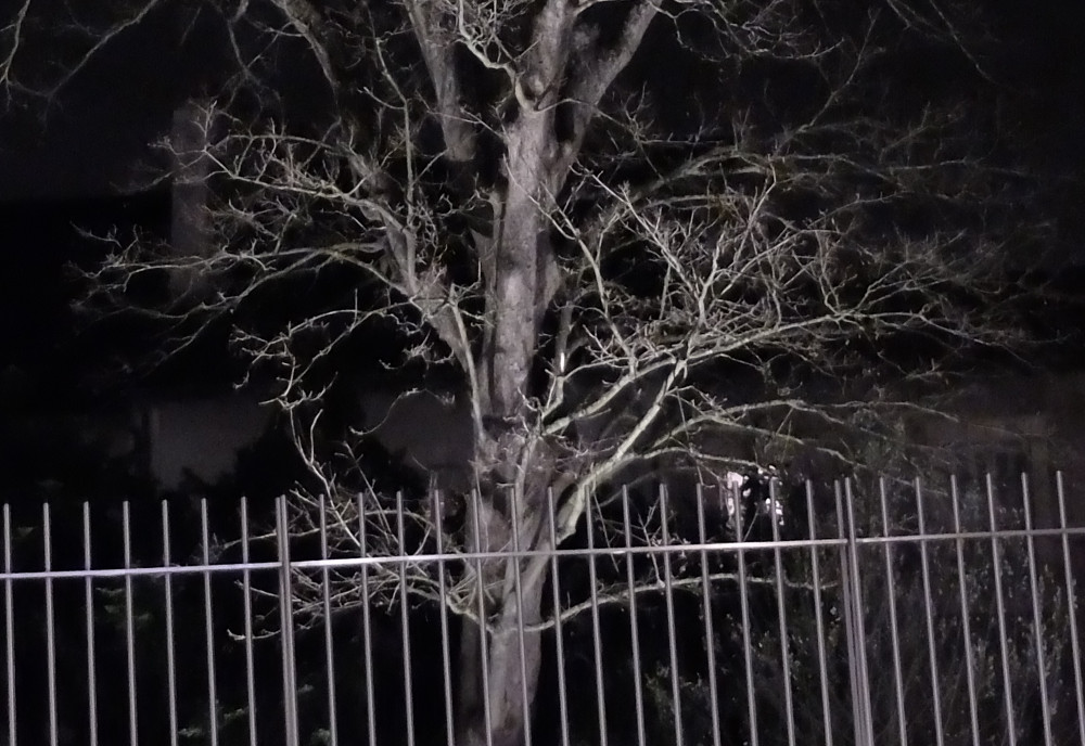 Nuit blanche