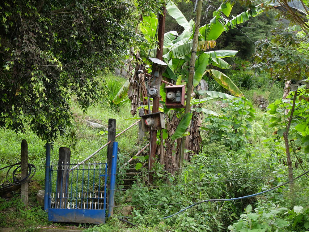 Costa Rica (1/3). 50 matices de verde-50 nuances de vert