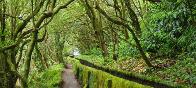 Les Açores – Las Azores (1/2)