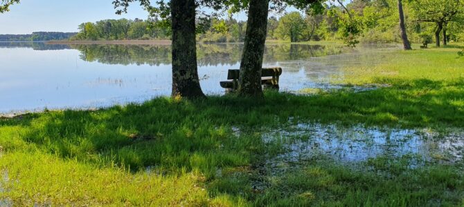 En el país de las mil lagunas – Au pays des mille étangs